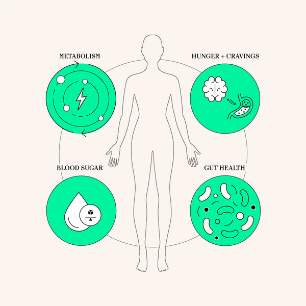 A root cause approach to metabolic health