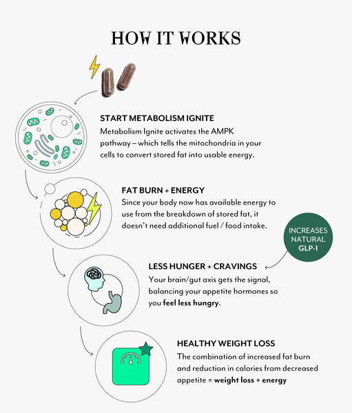A Root Cause Approach to Metabolic Health
