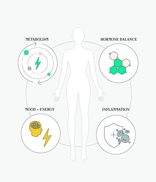 A Root Cause Approach to Menopause