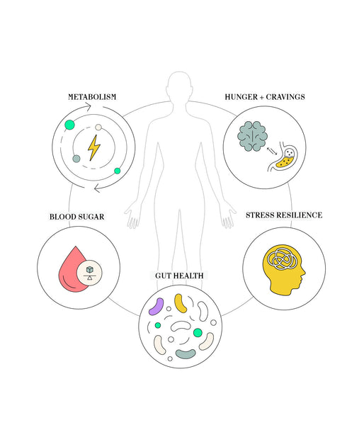 A Root Cause Approach to Weight Loss